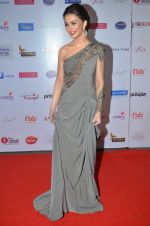 Amy Jackson at Femina Miss India red carpet on 9th April 2016